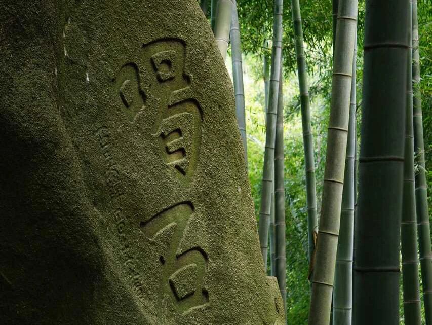 禅茶一味 · 三访径山寺